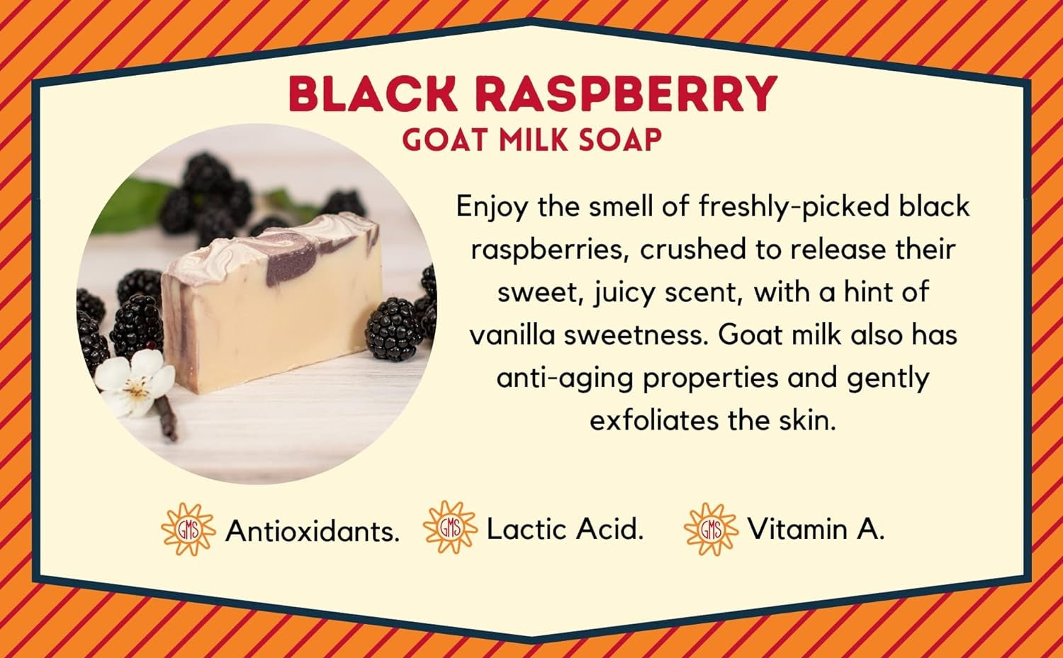 Goat Milk Soap - BLACK RASPBERRY | Made with Farm-Fresh Goat Milk, Goat Milk Soap for Face - Leaves Skin Feeling Renewed and Natural - Handmade (Box of 2)