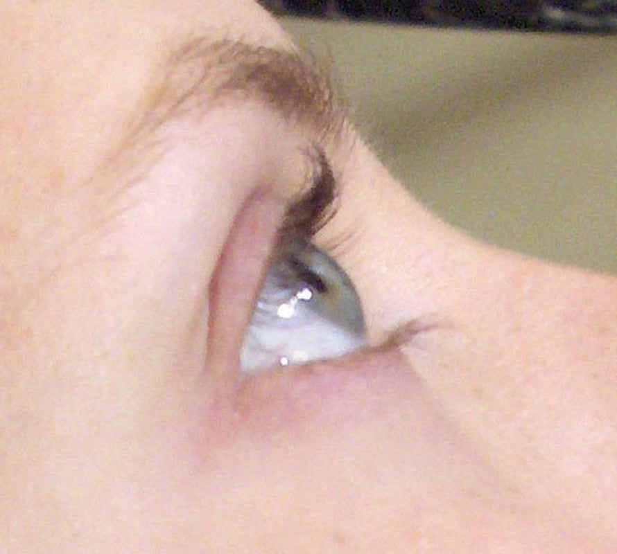 Beautiful Eyebrows & Eyelashes: Perming & Tinting Video - the Ultimate Lash and Brow Makeup Training on How to Enhance the Eyes by Master Aesthetician, Cosmetologist, and Expert Makeup Artist Chris Schoeck - Best Beauty Makeup Techniques