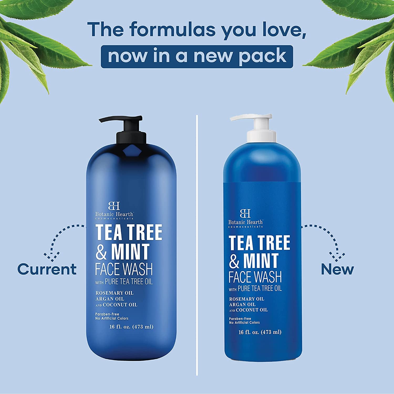 Tea Tree Face Wash with Mint - Acne Fighting, Premium, Hydrating Liquid Face Soap with Pure Tea Tree Oil - for Women and Men, Paraben Free, Fights Acne - 16 Fl Oz