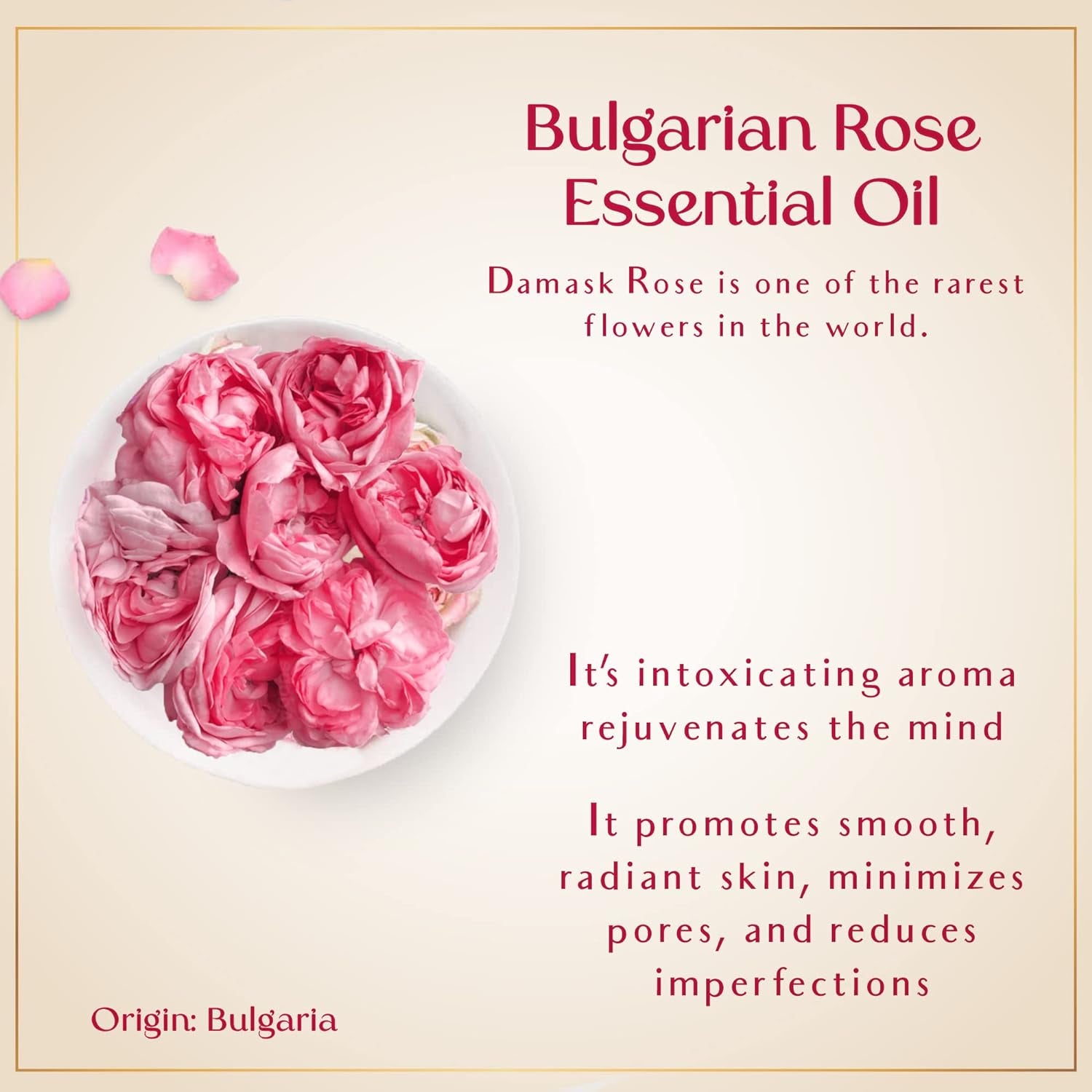 Rosé Oil - Organic Oil for Face, Body, Hair, Nails & Aromatherapy | Bulgarian Rose Essential Oil & Organic Floating Rose Petals | Moisturizer for Women & Men - 4 Fl Oz